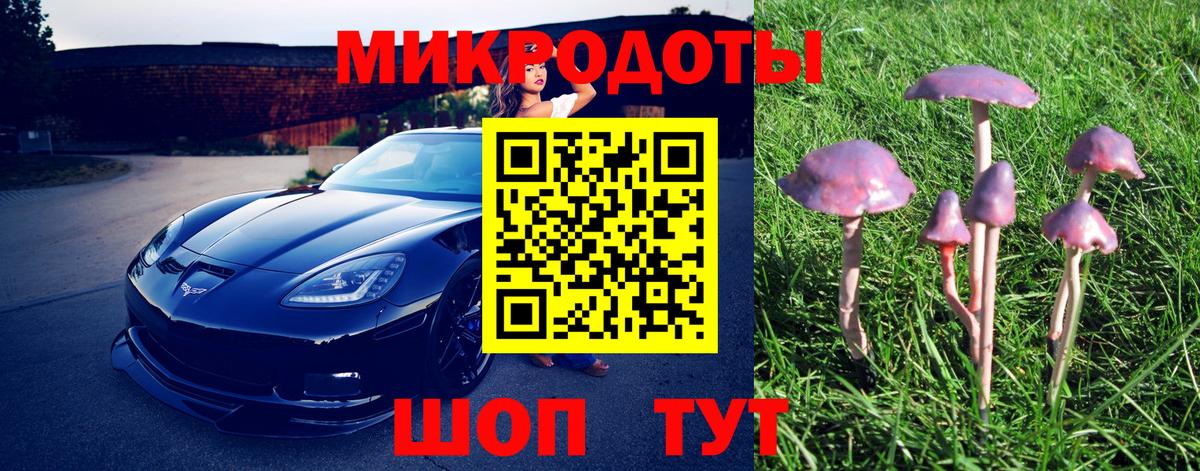 Псилоцибиновые грибы MAGIC MUSHROOMS Елец