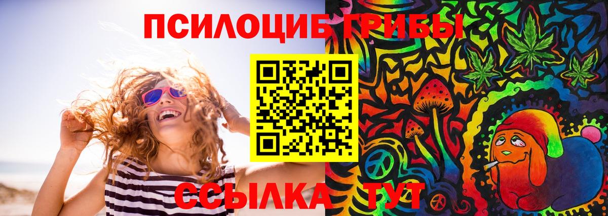 Елец  Галлюциногенные грибы Psilocybe  Вход с VPN 
